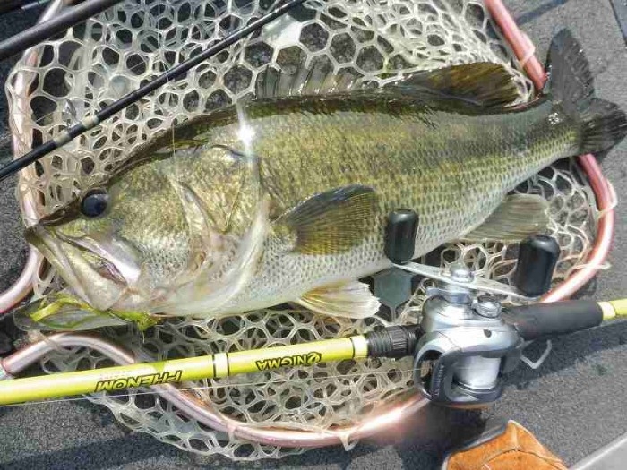 truth  ブログ写真 2017/06/24