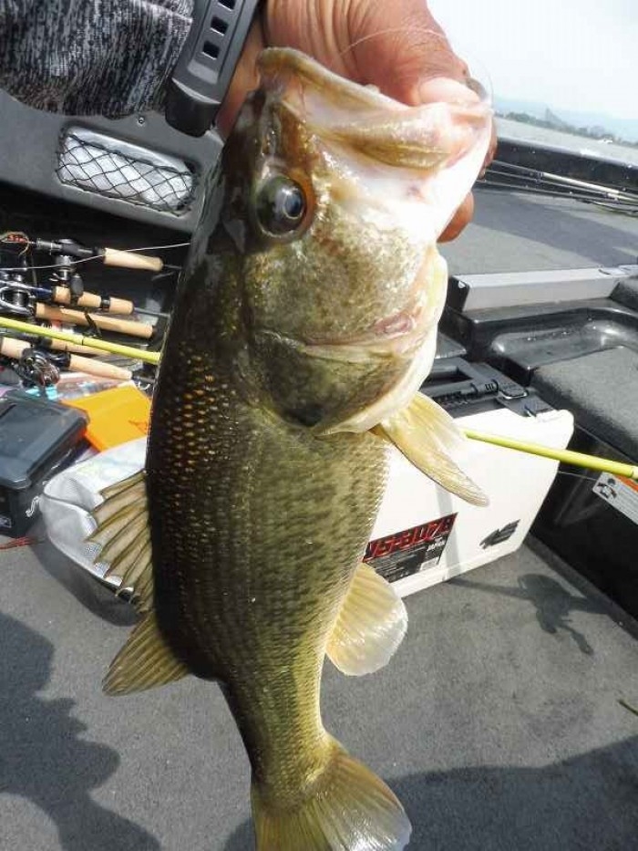 truth  ブログ写真 2017/06/24