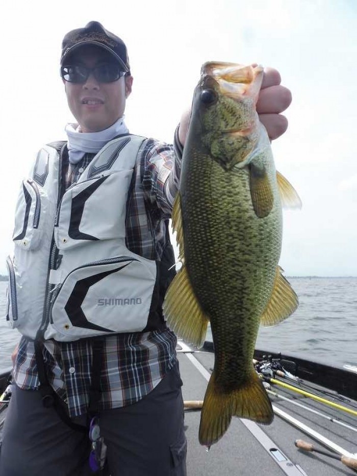 truth  ブログ写真 2017/06/24