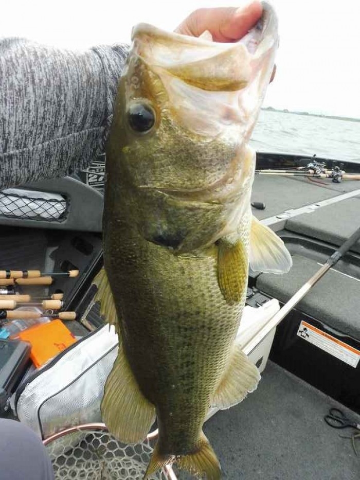 truth  ブログ写真 2017/06/24