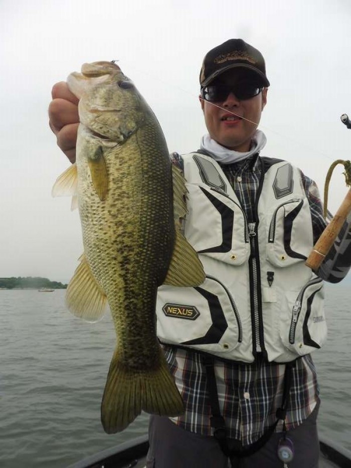 truth  ブログ写真 2017/06/24