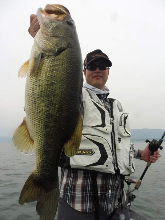 truth  ブログ写真 2017/06/24