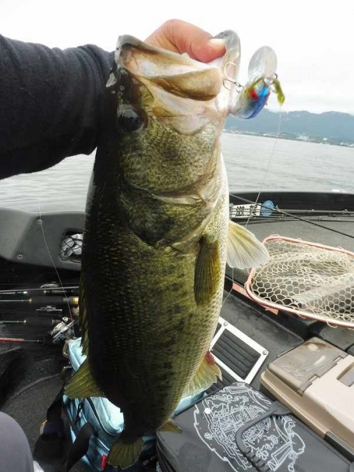 truth  ブログ写真 2017/06/25