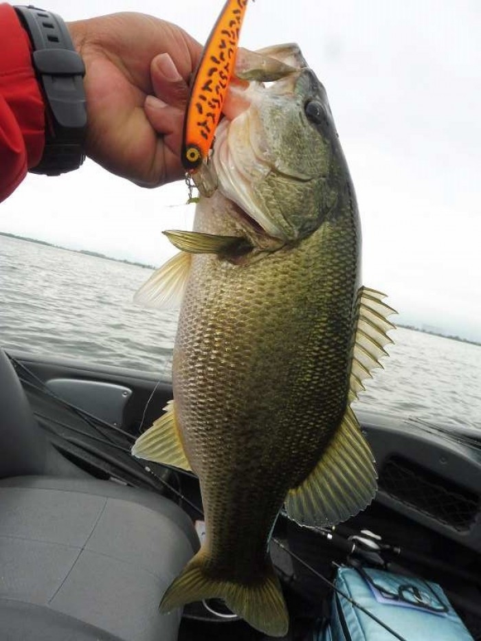 truth  ブログ写真 2017/06/25