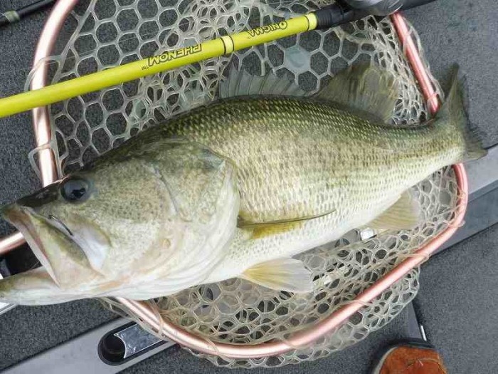 truth  ブログ写真 2017/06/25