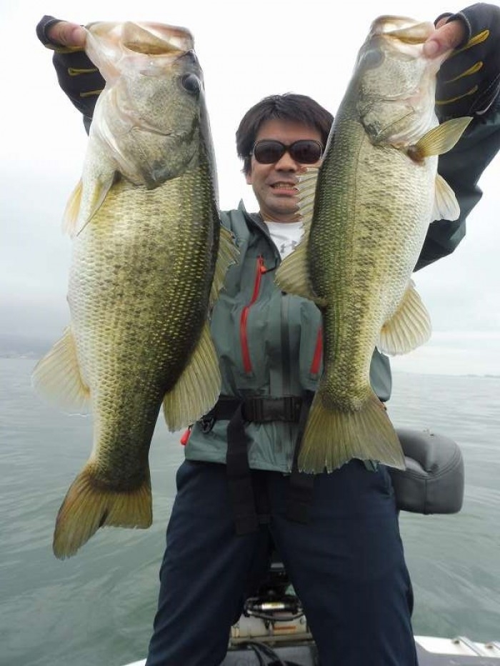 truth  ブログ写真 2017/06/25