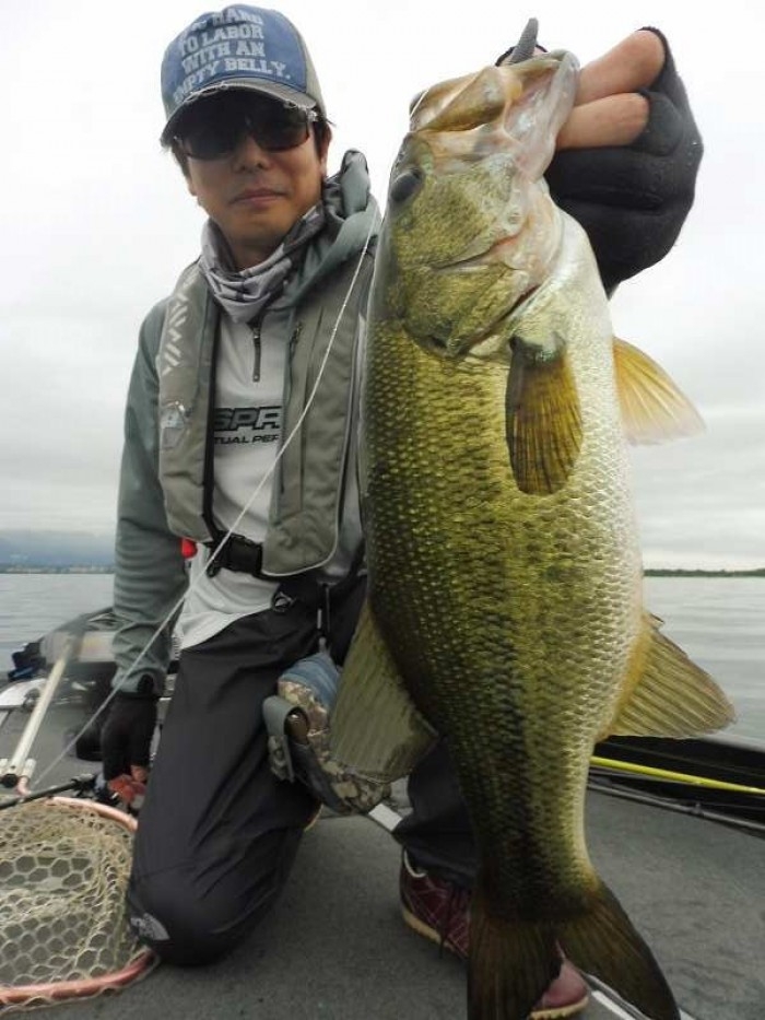 truth  ブログ写真 2017/06/25