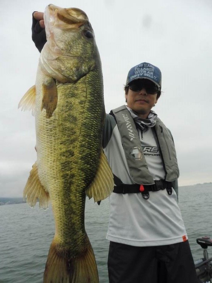 truth  ブログ写真 2017/06/25