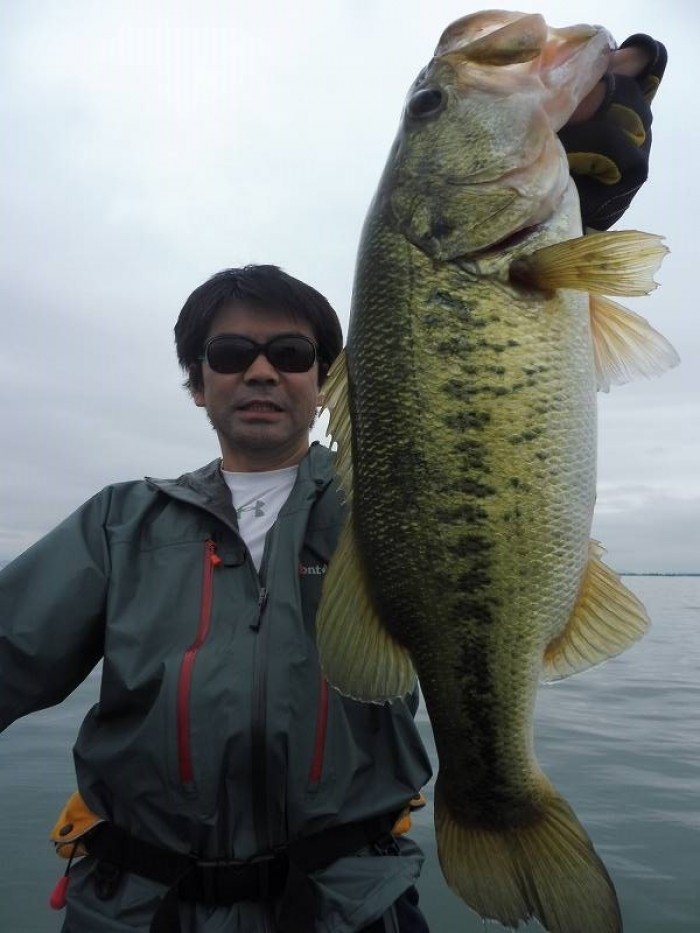 truth  ブログ写真 2017/06/25