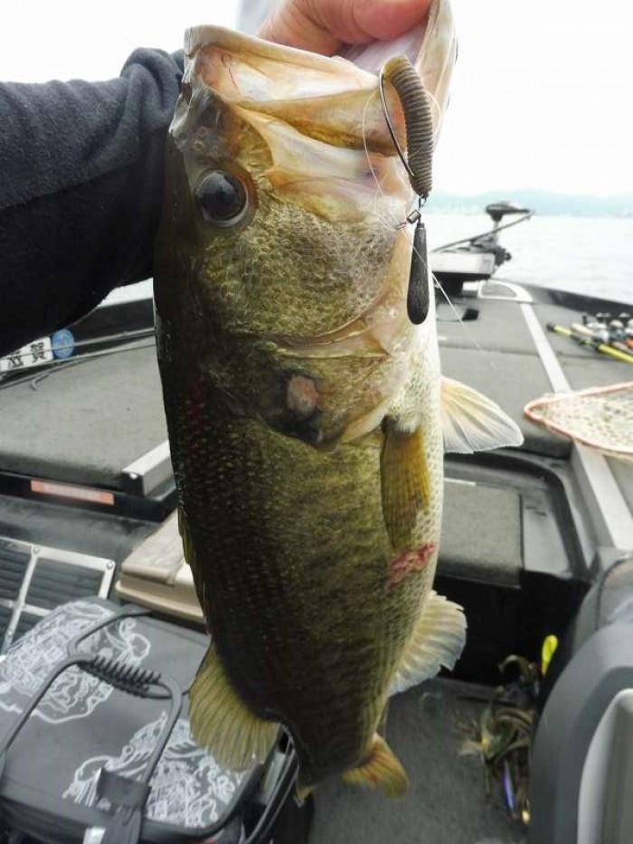 truth  ブログ写真 2017/06/25