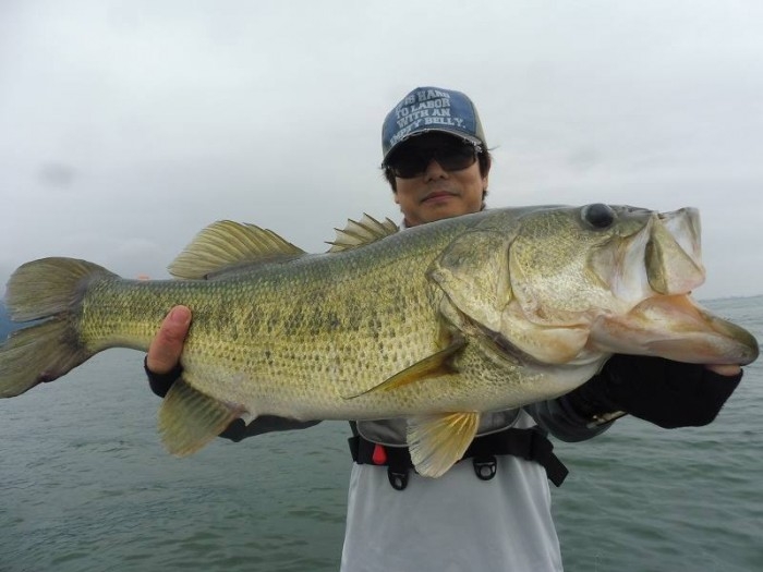 truth  ブログ写真 2017/06/25