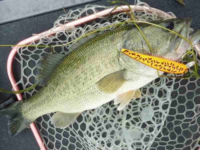 truth  ブログ写真 2017/06/25