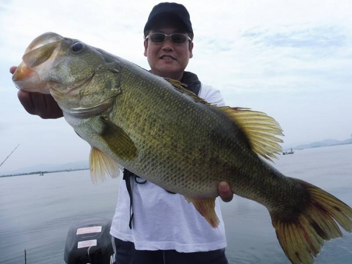 truth  ブログ写真 2017/06/27