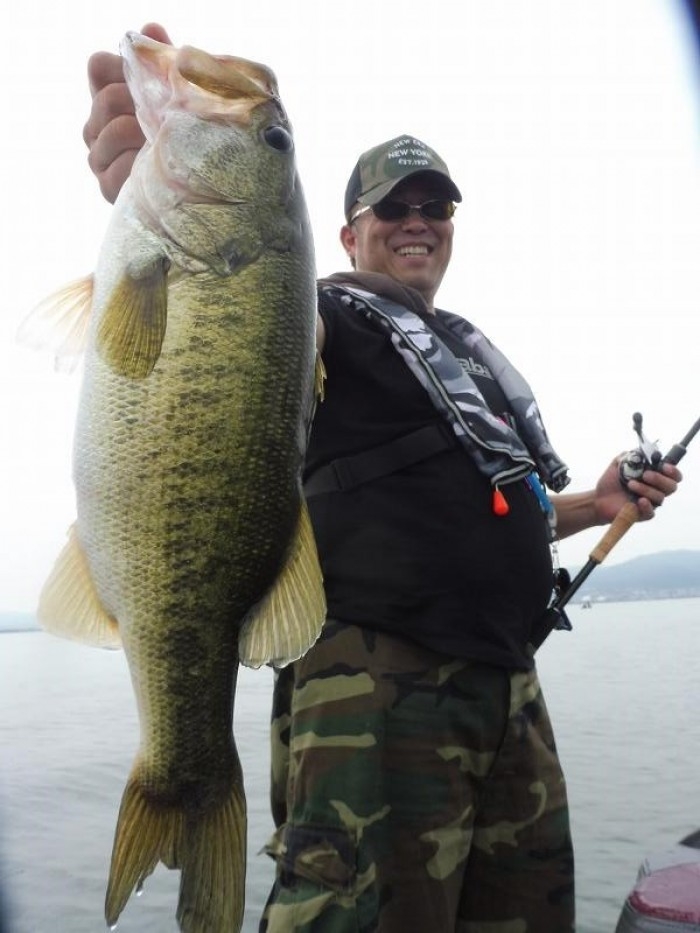 truth  ブログ写真 2017/06/27