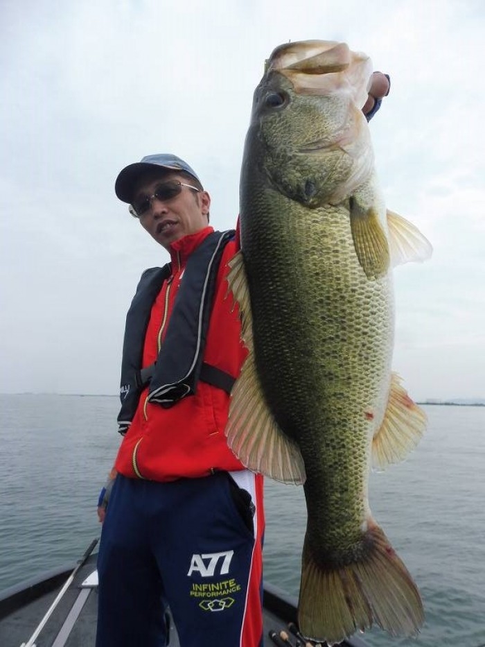 truth  ブログ写真 2017/06/27