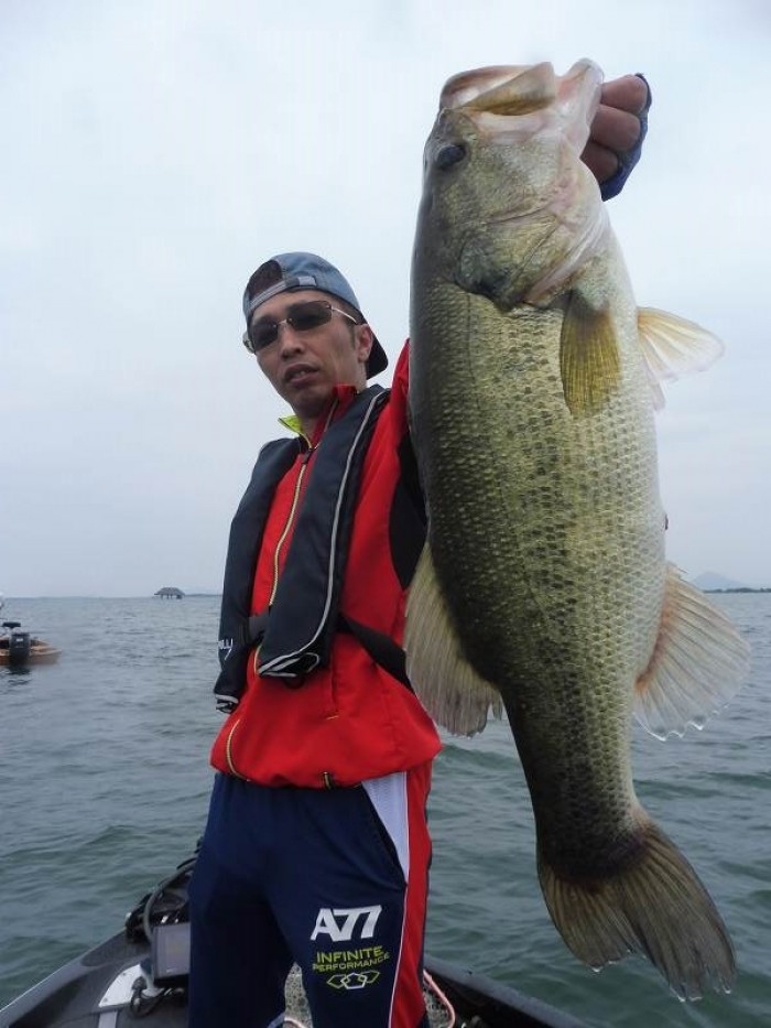 truth  ブログ写真 2017/06/27