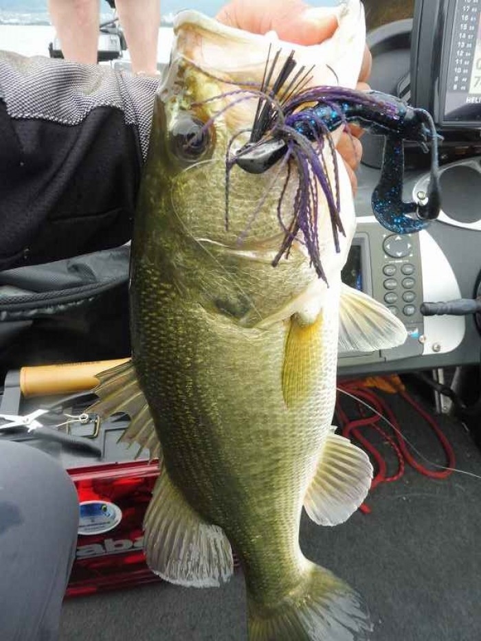 truth  ブログ写真 2017/06/27