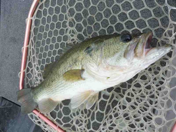 truth  ブログ写真 2017/07/01