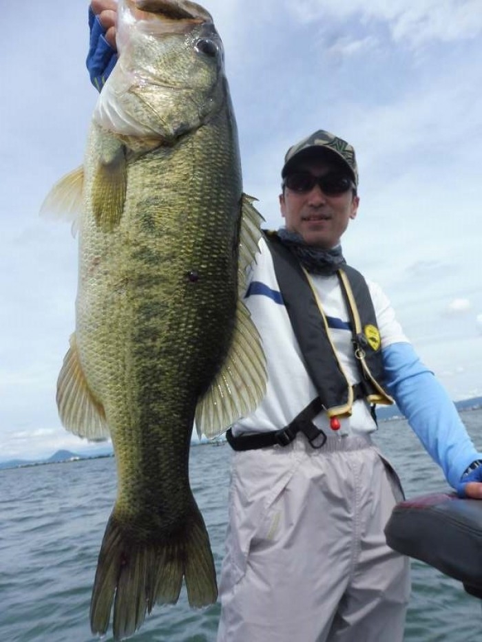 truth  ブログ写真 2017/07/01