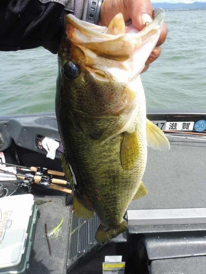 truth  ブログ写真 2017/07/01