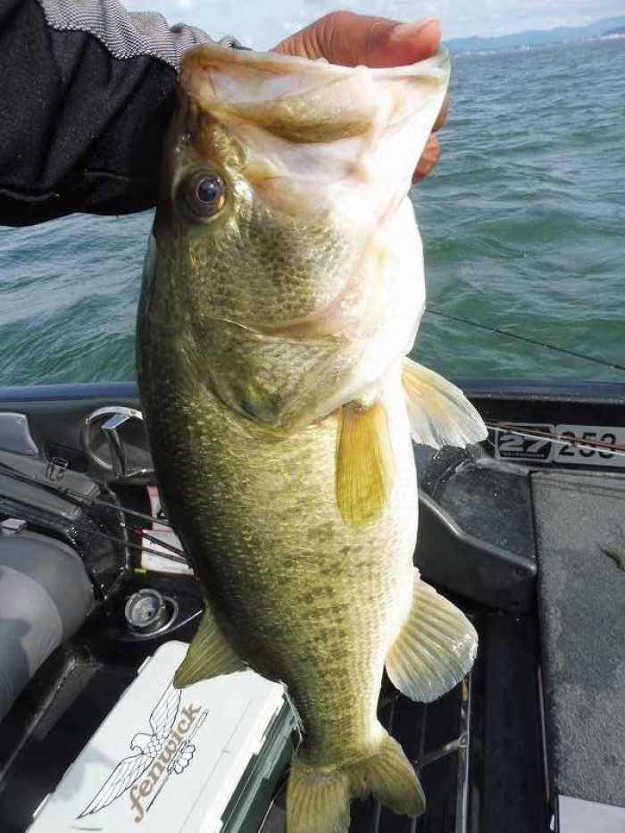 truth  ブログ写真 2017/07/01