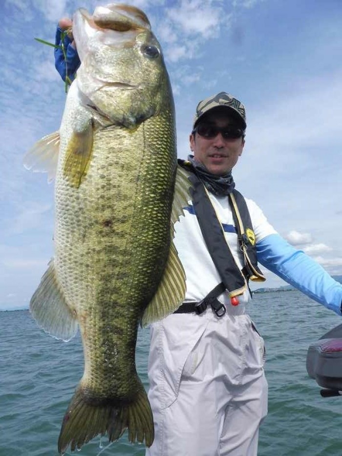 truth  ブログ写真 2017/07/01