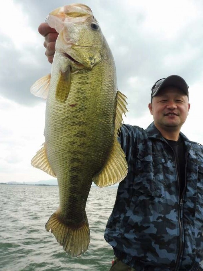 truth  ブログ写真 2017/07/02