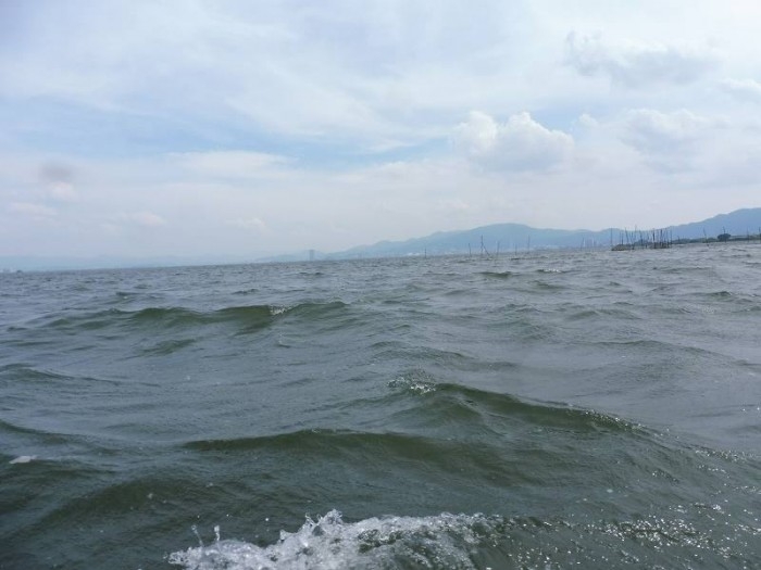 truth  ブログ写真 2017/07/03