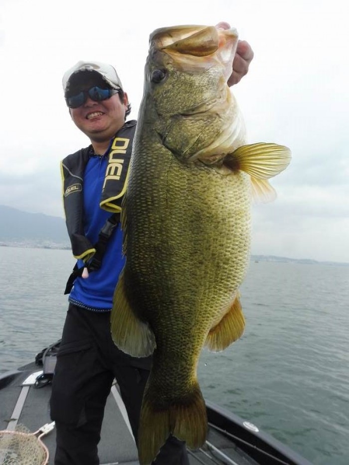 truth  ブログ写真 2017/07/04