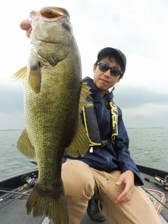 truth  ブログ写真 2017/07/04