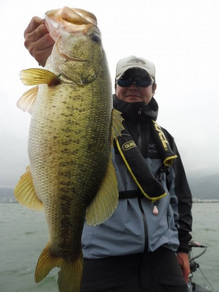 truth  ブログ写真 2017/07/04