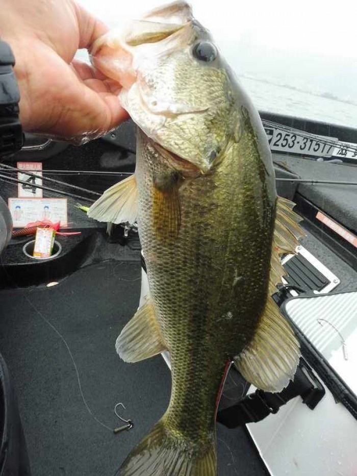 truth  ブログ写真 2017/07/04