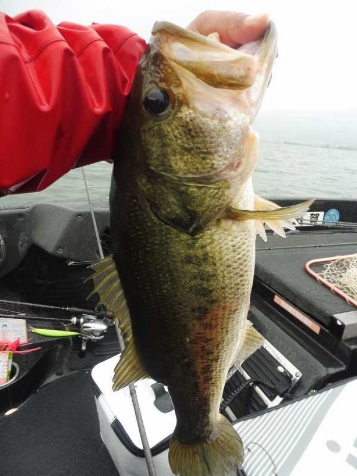 truth  ブログ写真 2017/07/04