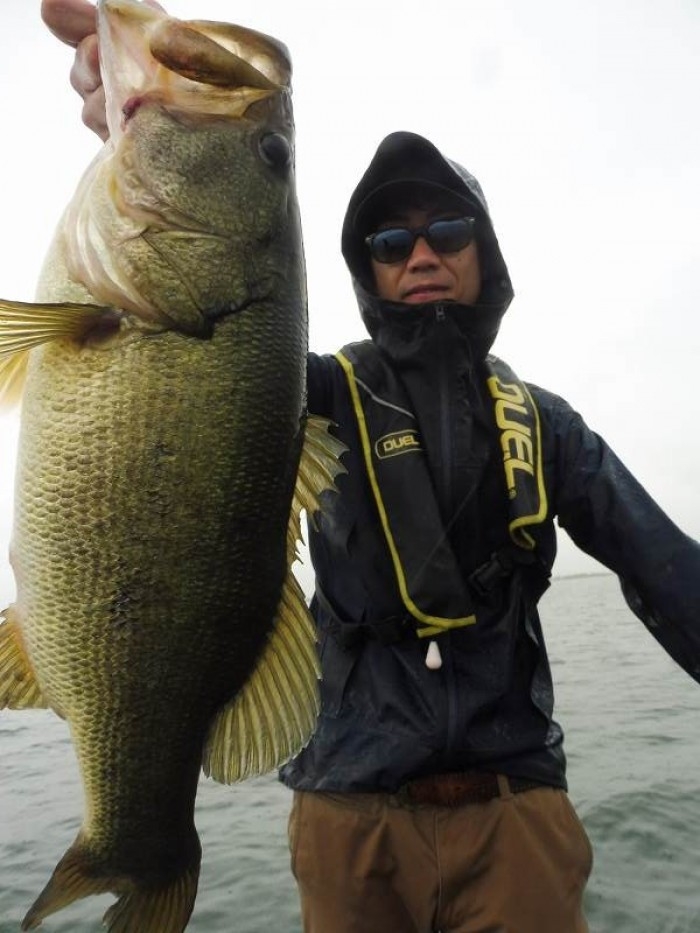 truth  ブログ写真 2017/07/04