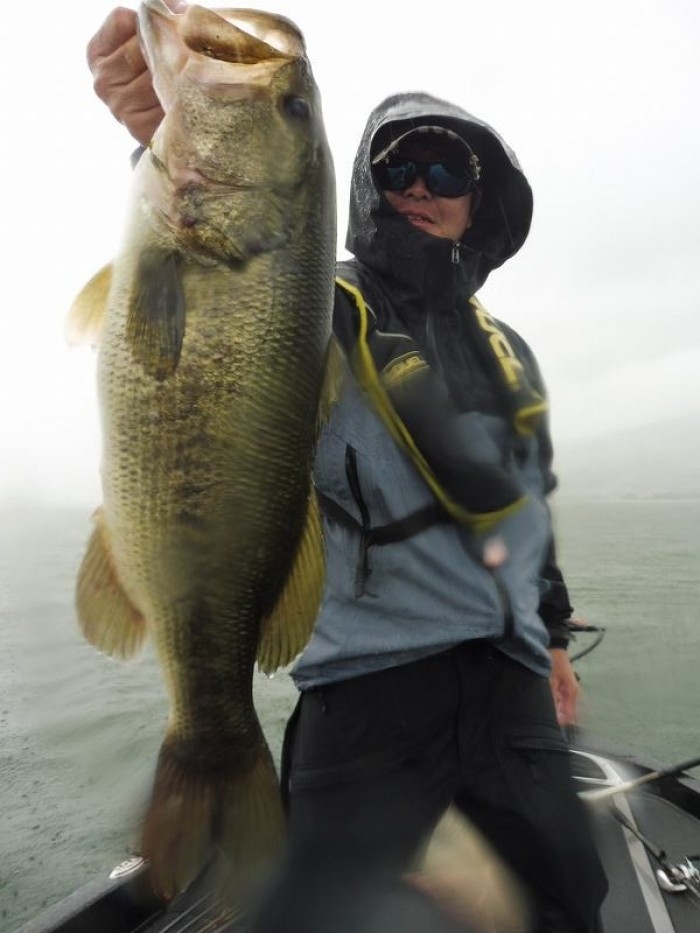 truth  ブログ写真 2017/07/04