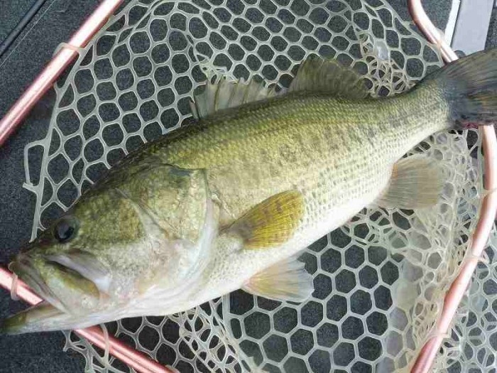 truth  ブログ写真 2017/07/05