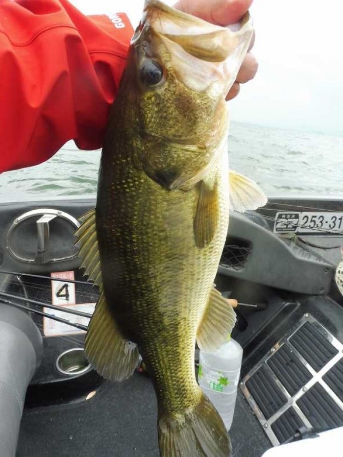 truth  ブログ写真 2017/07/05