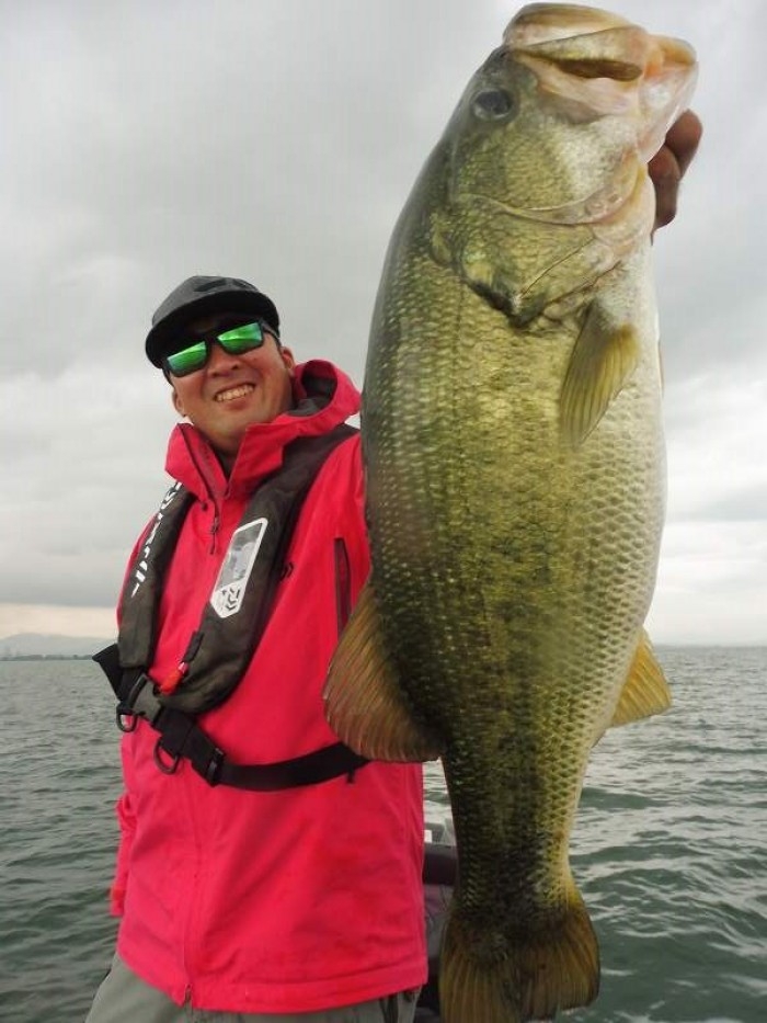 truth  ブログ写真 2017/07/05