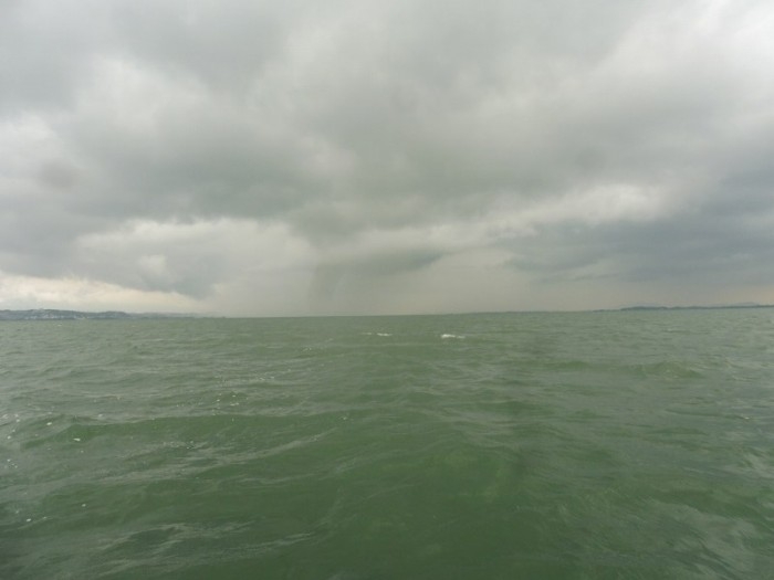 truth  ブログ写真 2017/07/05