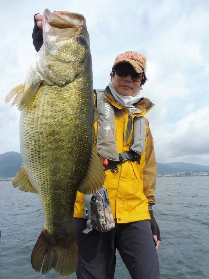 truth  ブログ写真 2017/07/06