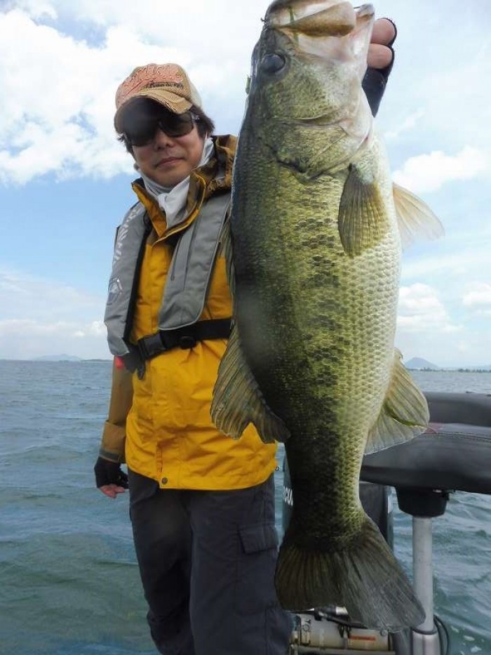 truth  ブログ写真 2017/07/06