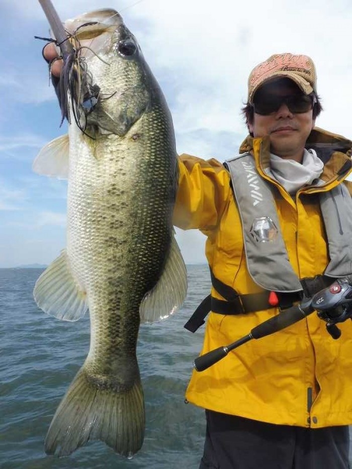 truth  ブログ写真 2017/07/06