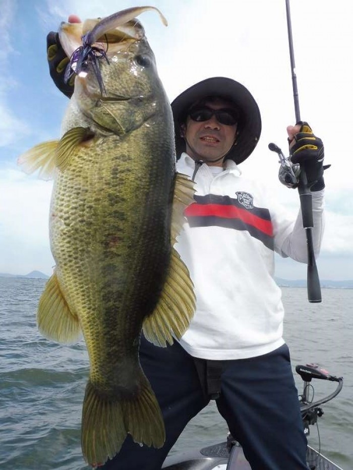 truth  ブログ写真 2017/07/06