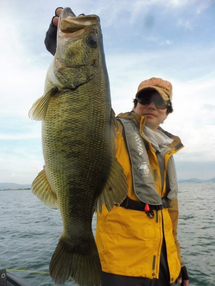 truth  ブログ写真 2017/07/06