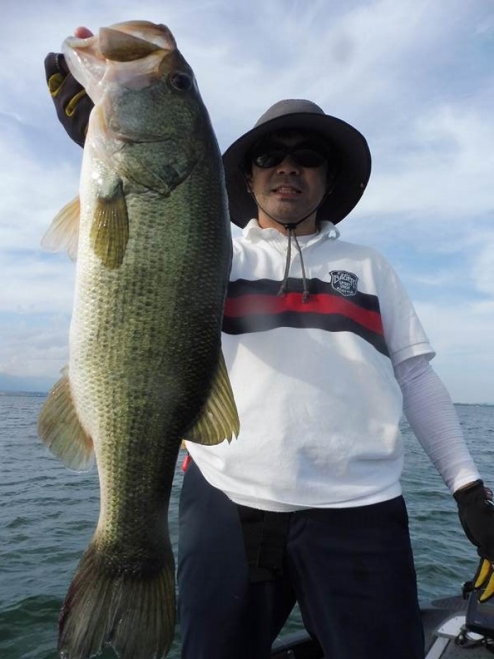 truth  ブログ写真 2017/07/06