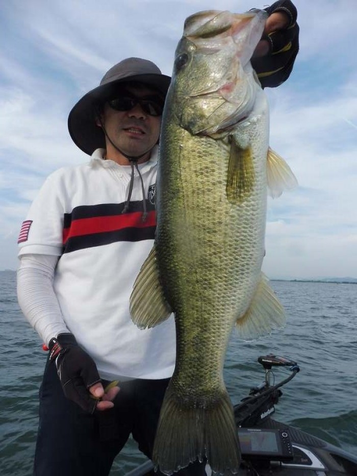 truth  ブログ写真 2017/07/06