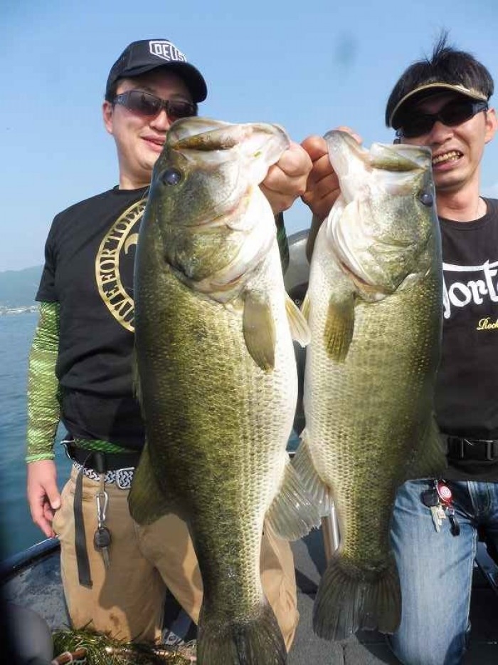 truth  ブログ写真 2017/07/07