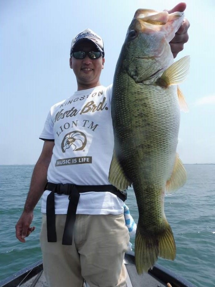 truth  ブログ写真 2017/07/07