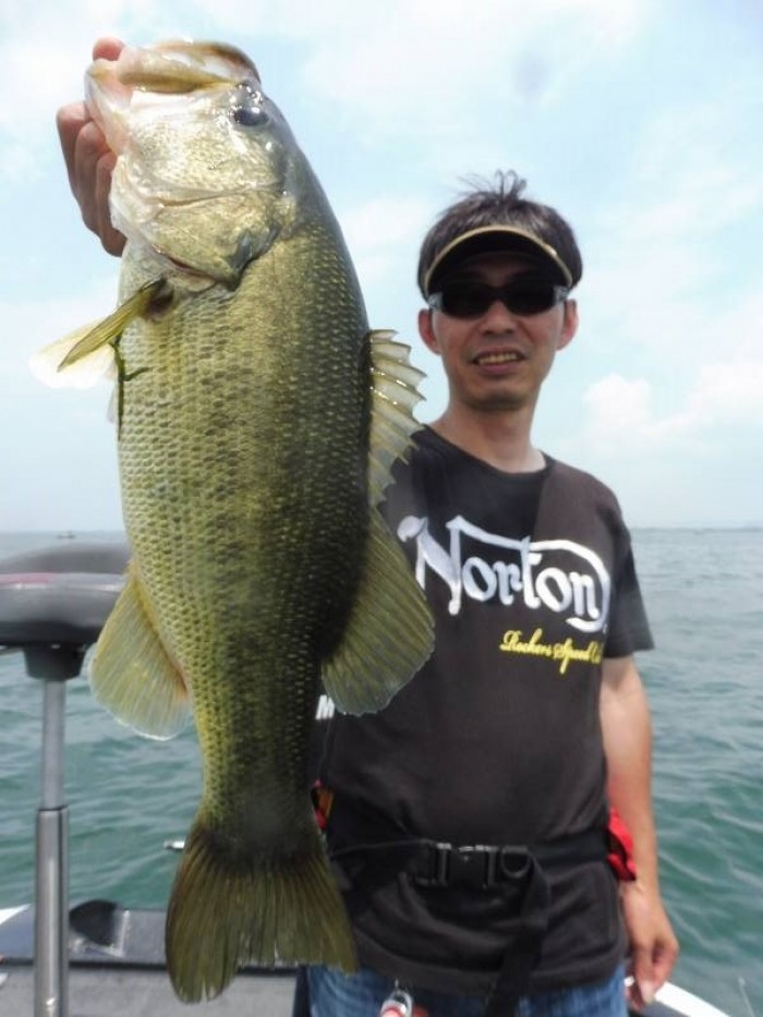 truth  ブログ写真 2017/07/07