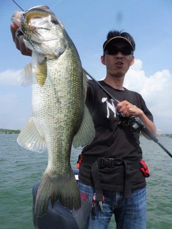 truth  ブログ写真 2017/07/07